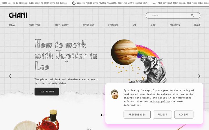 Screenshot of chani.com