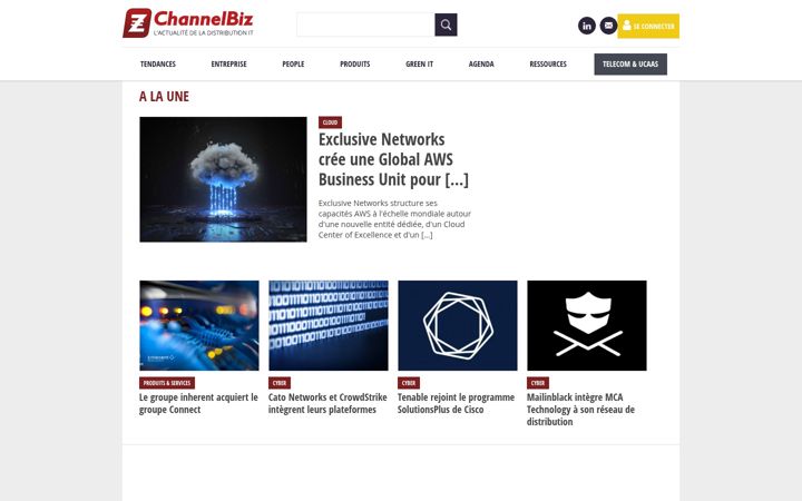 Zrzut ekranu channelbiz.fr