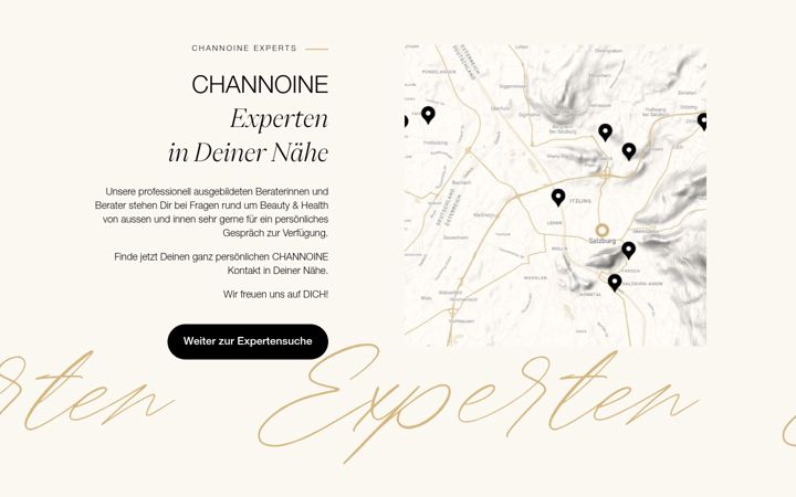 Screenshot of channoine-partner.com