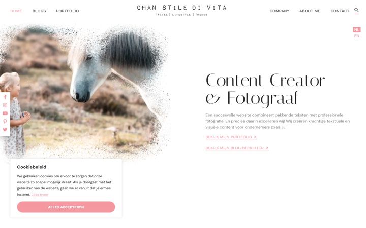 Screenshot of chanstiledivita.com
