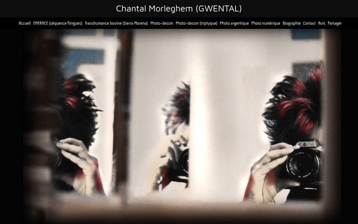 Screenshot of chantalmorleghem.com
