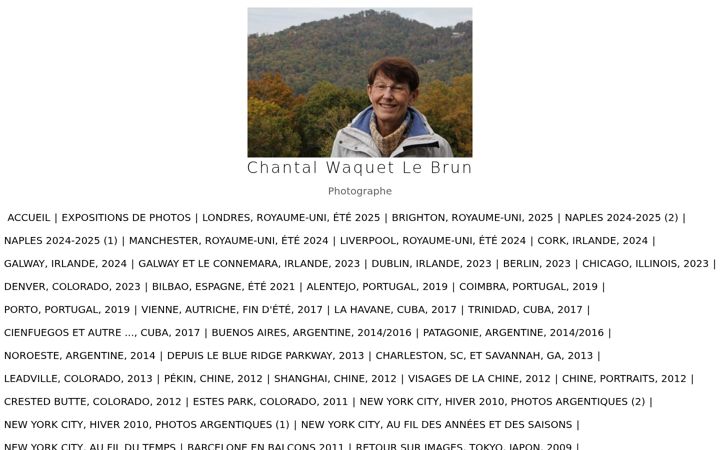 Screenshot of chantalwaquetlebrun.com