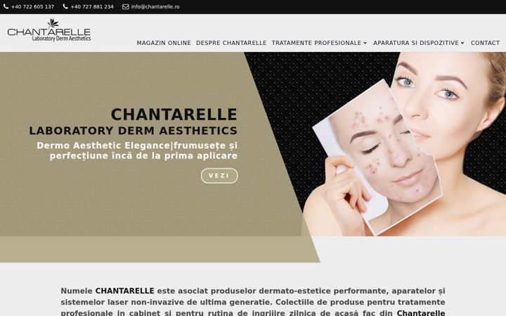 Captura de pantalla de chantarelle.ro