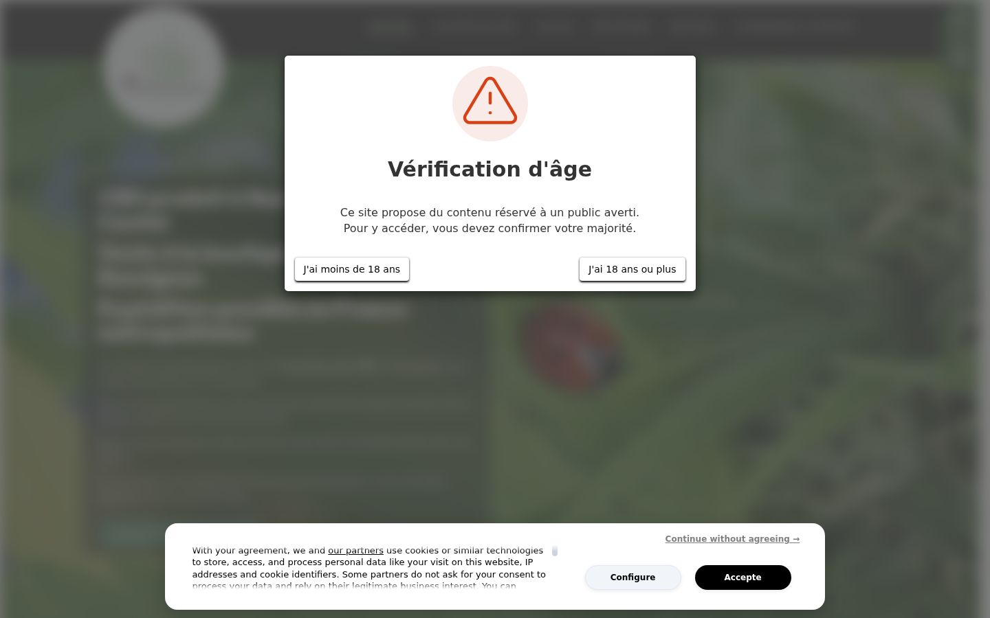 Skjermbilde av samtykkebanneret slik det vises før noen interaksjon