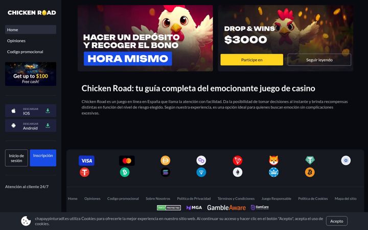 Screenshot di chapaypinturadf.es