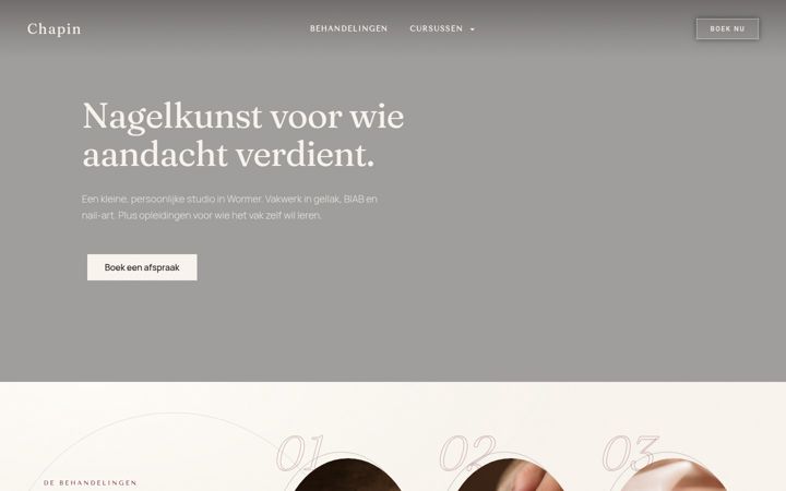Posnetek zaslona chapin.nl