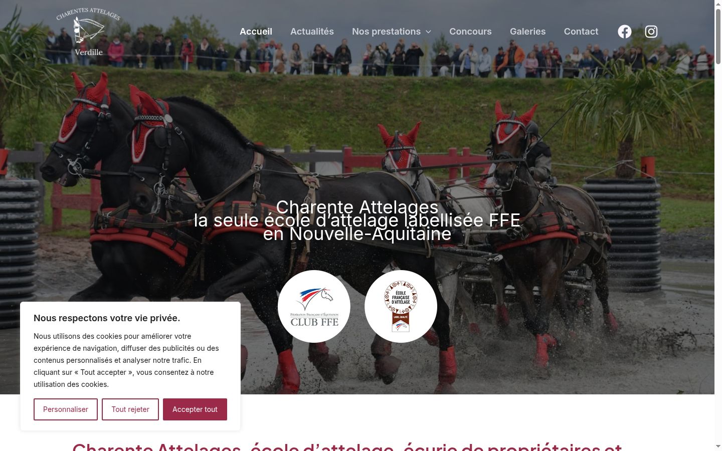 Screenshot tal-banner tal-kunsens muri qabel kwalunkwe interazzjoni