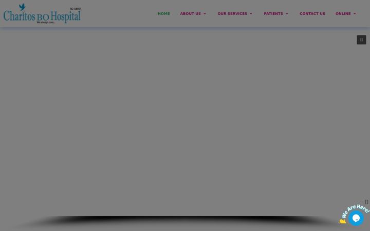 Screenshot of charitosbohospital.com