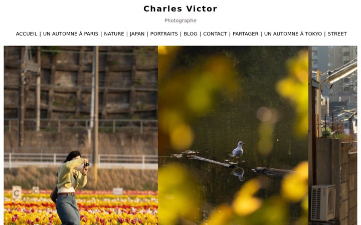 Snimka zaslona za charles-victor.fr