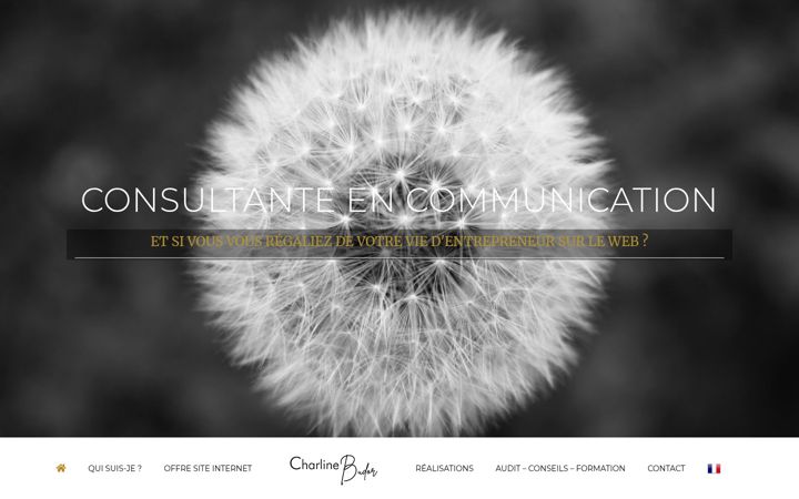 Screenshot of charlinebudor.com