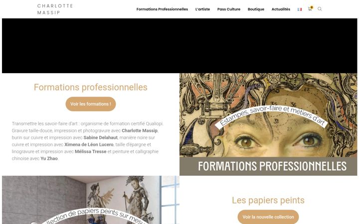 Screenshot of charlottemassip.com