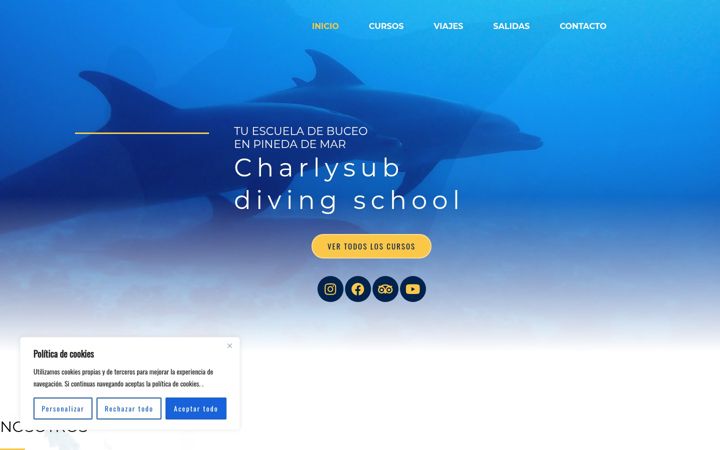 Screenshot of charly-sub.com