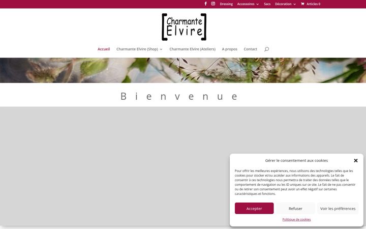 Skjámynd af charmante-elvire.fr