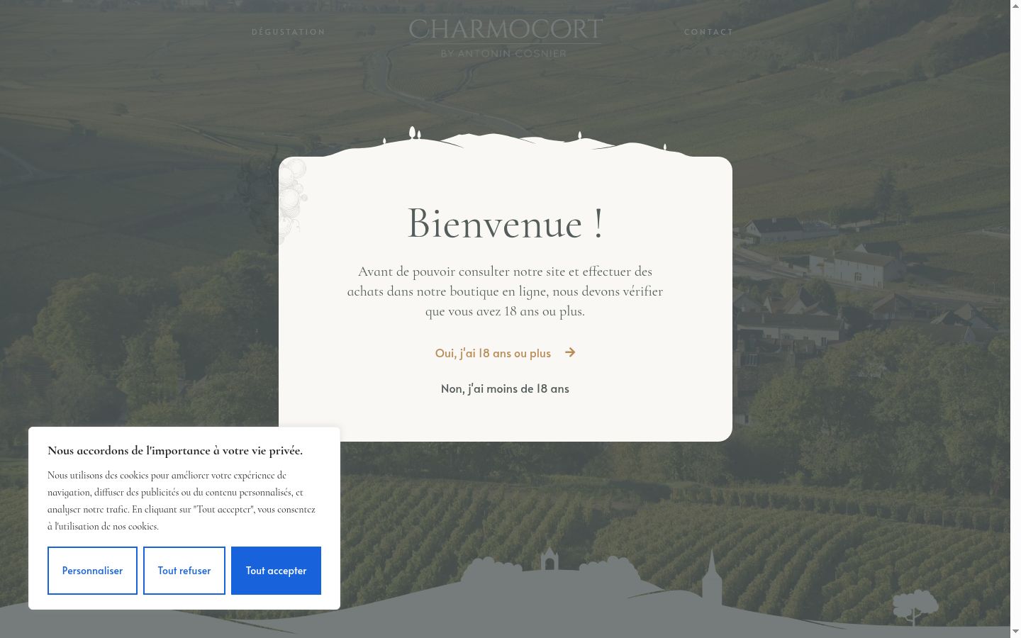 Screenshot of the consent banner shown before any interaction