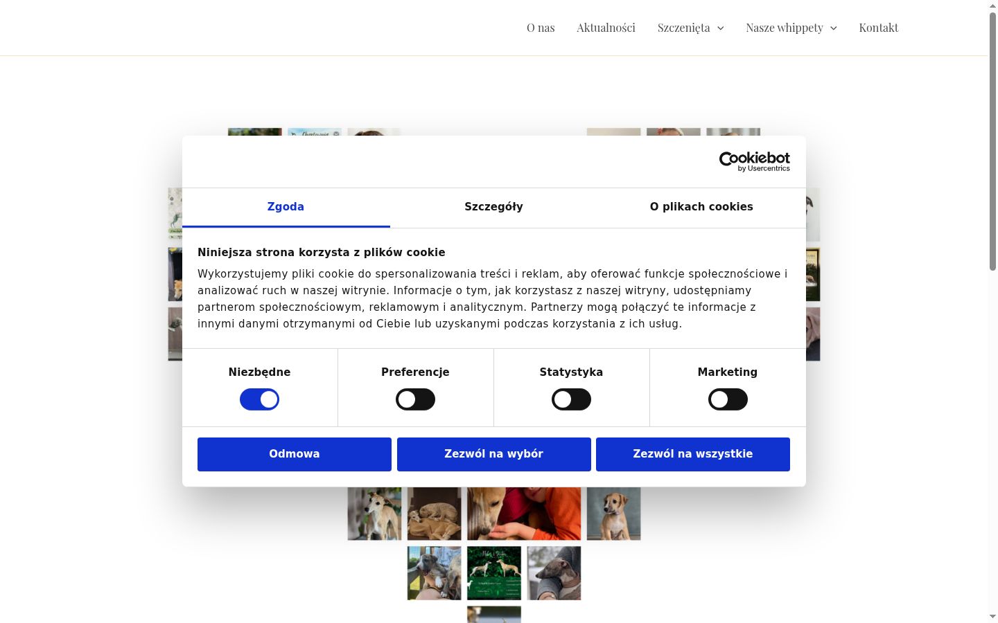 Snímek obrazovky baneru souhlasu zobrazeného před jakoukoli interakcí