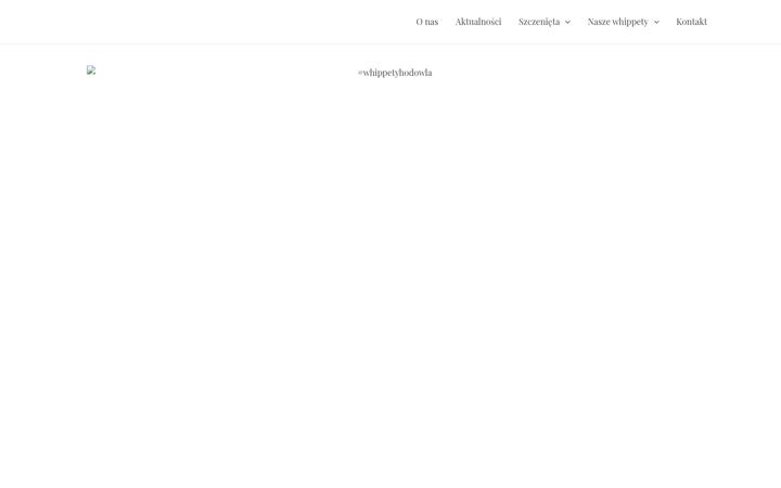 Screenshot of chartownia.pl