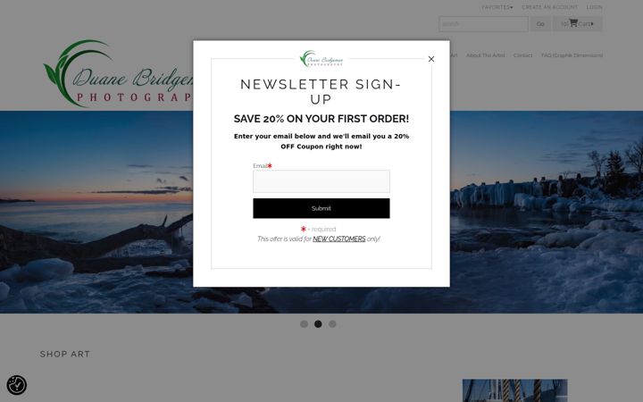 Screenshot of chasinghislight.com