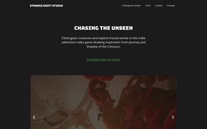 chasingtheunseen.square.site