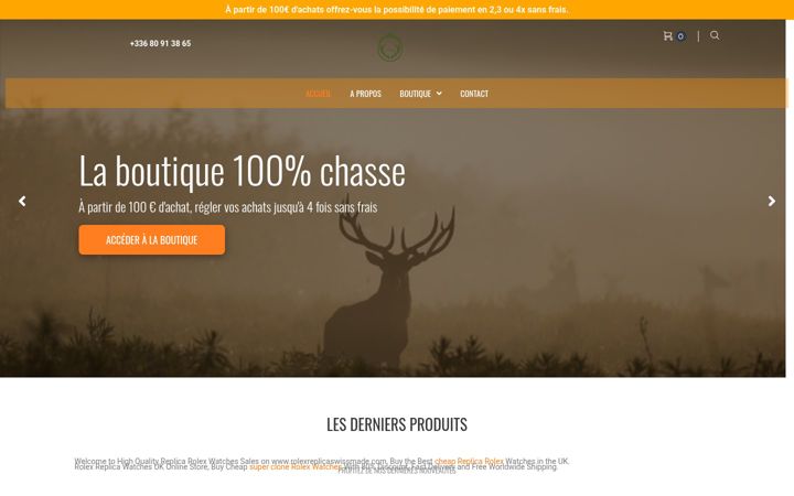 Screenshot of chasseursdesalpes.com