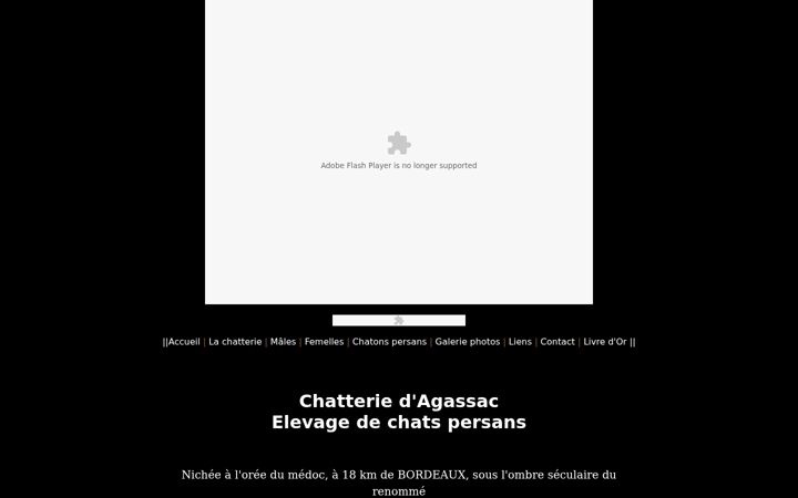 Screenshot von chat-persan-agassac.com