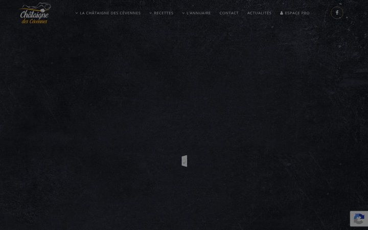 Screenshot of chataignedescevennes.com