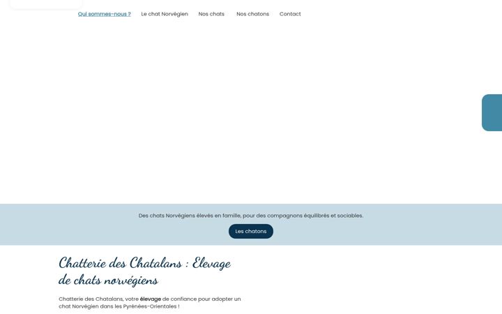 Skjámynd af chatalans.fr