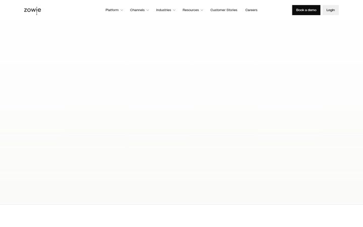 Screenshot of chatbotize.com