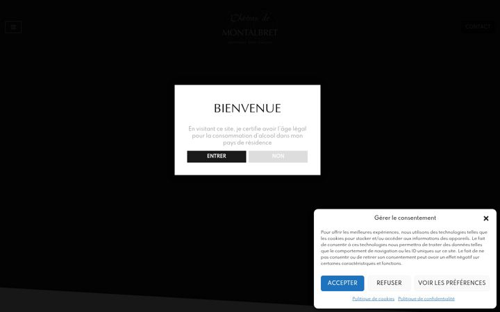 Screenshot of chateau-demontalbret.com