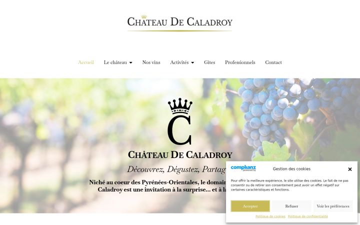 Screenshot of chateaudecaladroy.com