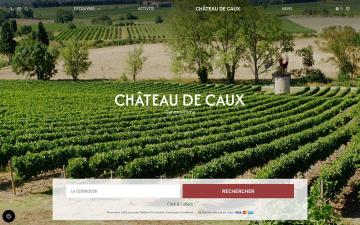 Screenshot of chateaudecaux.com