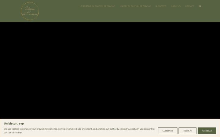 Screenshot of chateaudepazayac.com