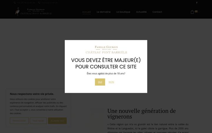 Skjermbilde av chateaufontbarriele.fr