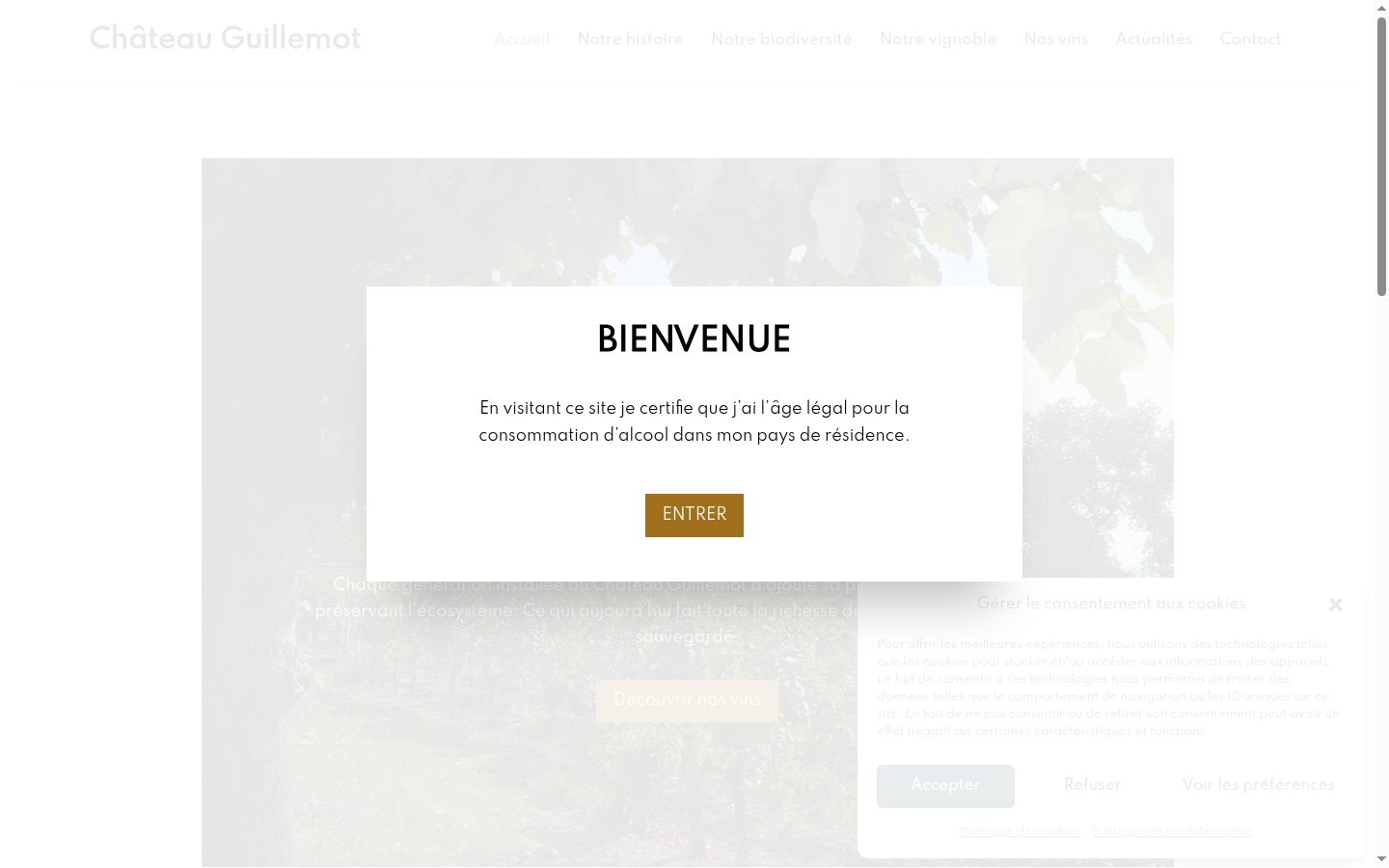 Screenshot of the consent banner shown before any interaction