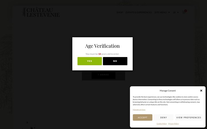 Screenshot of chateaulestevenie.com