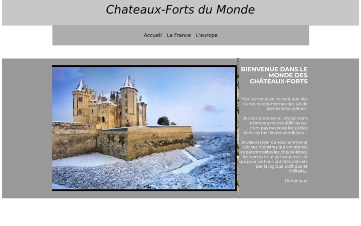 Skærmbillede af chateaux-forts-du-monde.net