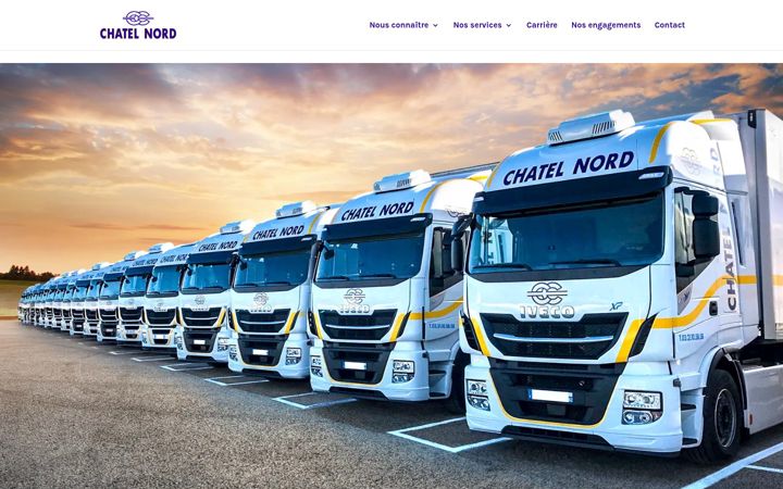Screenshot of chatelnord.com
