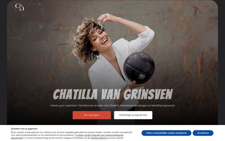 Ekrano kopija chatillavangrinsven.nl