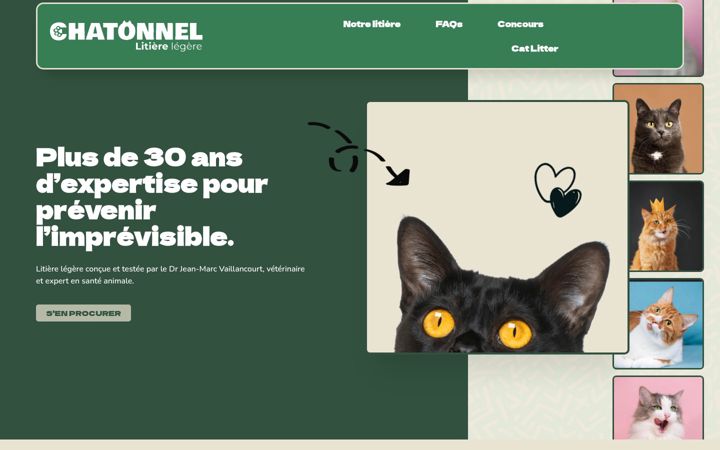 Screenshot of chatonnel.com