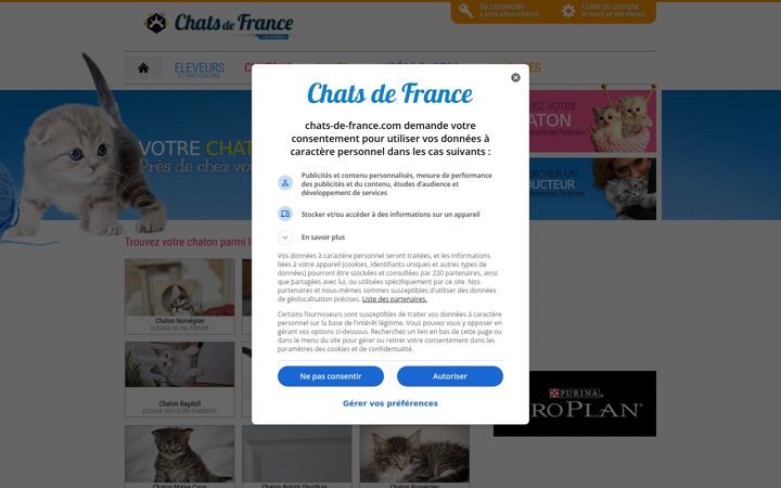 Screenshot of chats-de-france.com