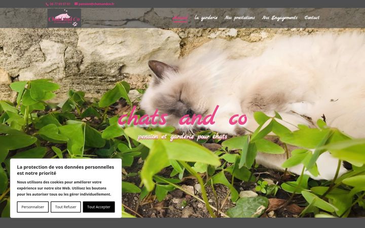 Skjámynd af chatsandco-pensionchats-angouleme.fr