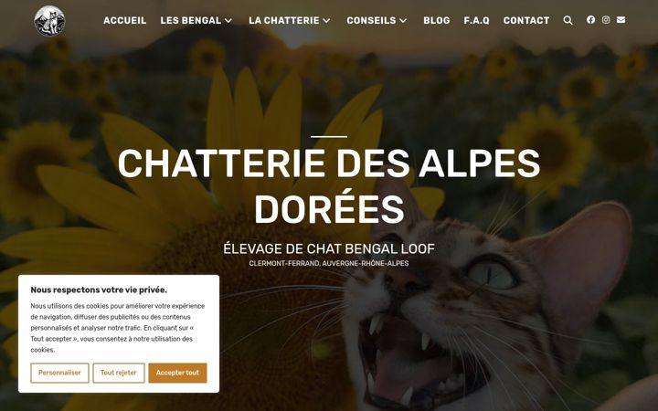 Skjámynd af chatsbengal.fr