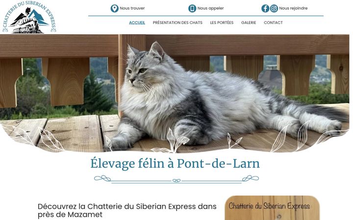 Skjámynd af chatsdusiberianexpress.fr