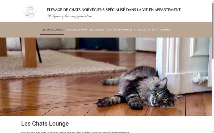 Screenshot of chatslounge.com