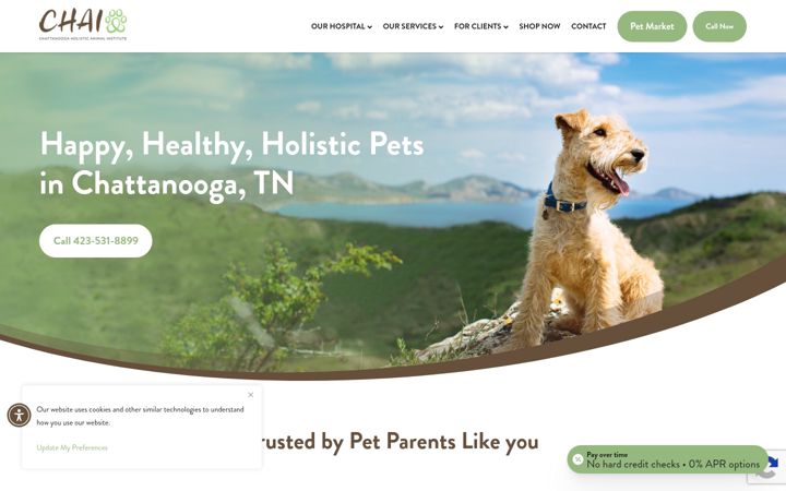 Screenshot of chattanoogaholisticvet.com