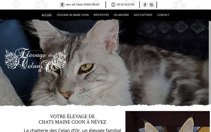 Skjámynd af chatterie-des-celan-dor.fr