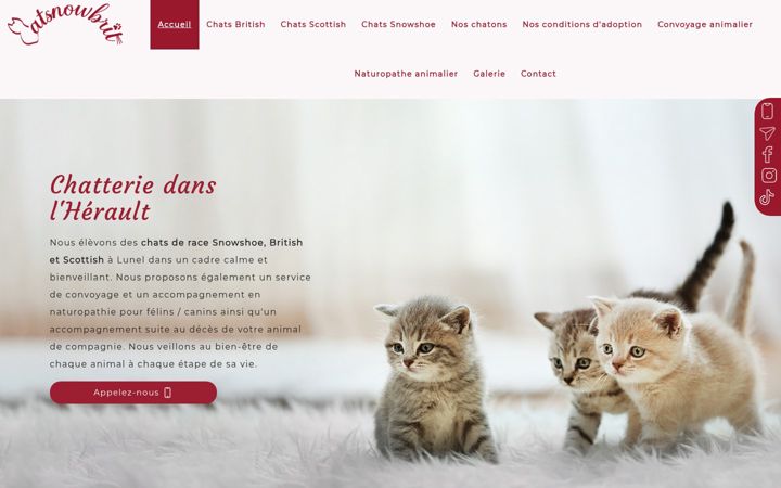 Screenshot of chatteriechakepariro.com
