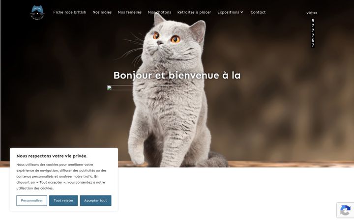 Skjámynd af chatteriedeladentduchat.fr