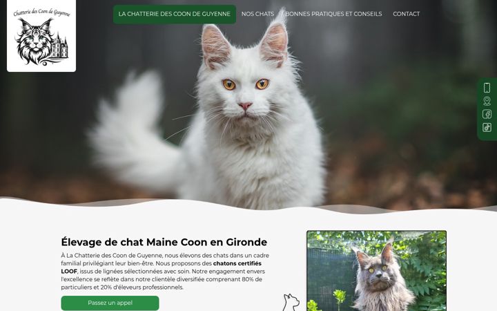 Skjámynd af chatteriedescoondeguyenne.fr