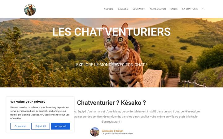 Skjámynd af chatventurier.fr