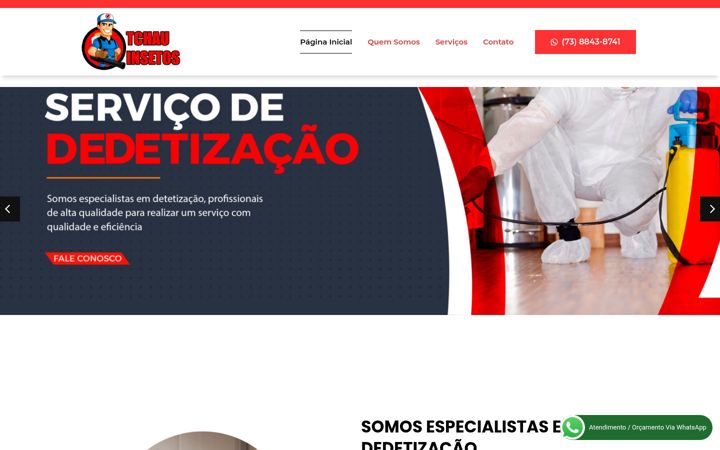 Képernyőkép: chauinsetos.com.br